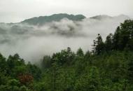 高马二溪山景